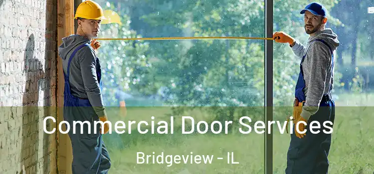 Commercial Door Services Bridgeview - IL