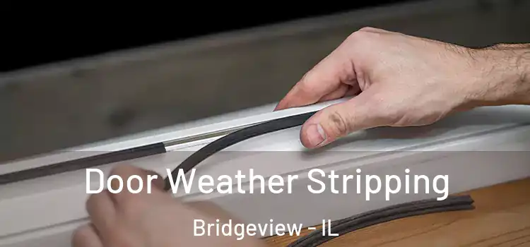  Door Weather Stripping Bridgeview - IL