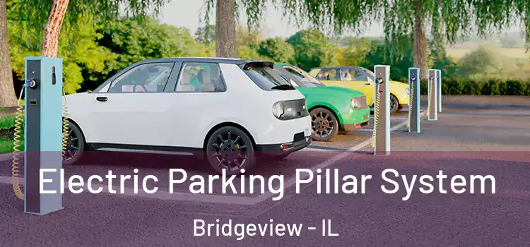  Electric Parking Pillar System Bridgeview - IL