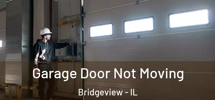  Garage Door Not Moving Bridgeview - IL