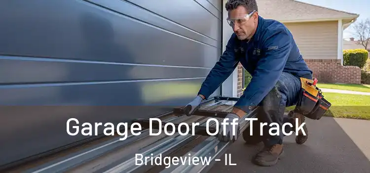  Garage Door Off Track Bridgeview - IL
