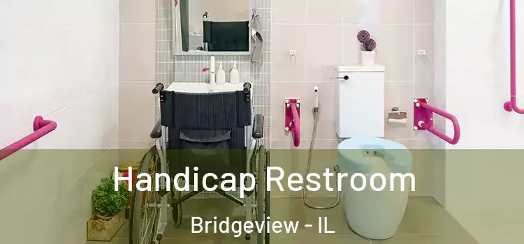  Handicap Restroom Bridgeview - IL