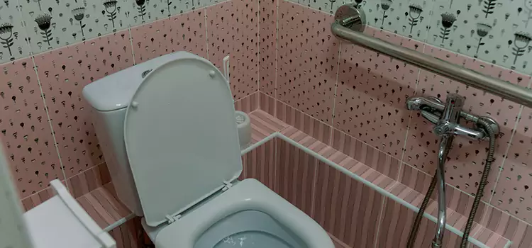 Meeting Diverse Needs With Accessible Restroom Solutions in Bridgeview, IL
