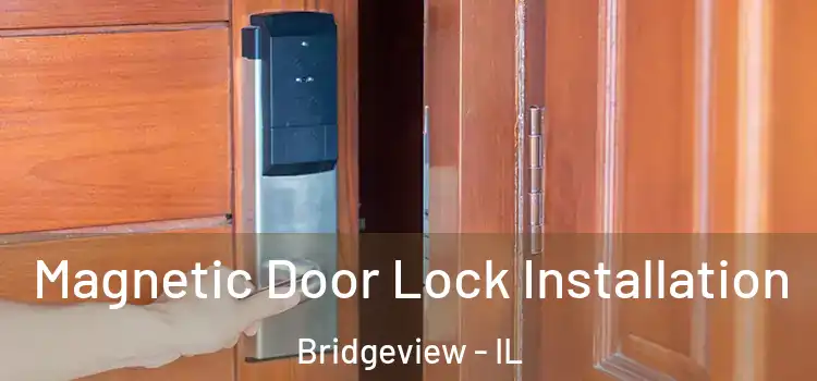  Magnetic Door Lock Installation Bridgeview - IL