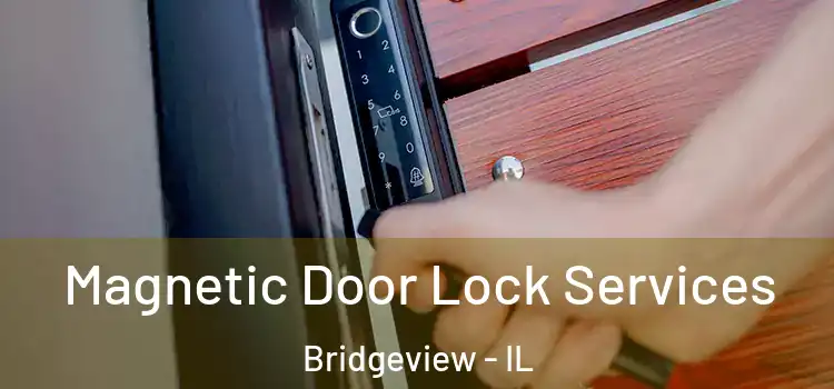 Magnetic Door Lock Services Bridgeview - IL
