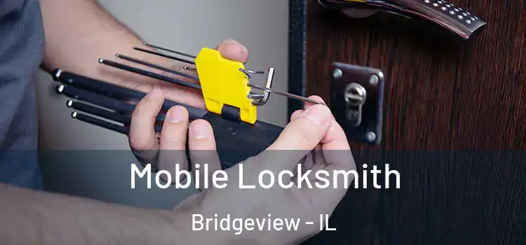  Mobile Locksmith Bridgeview - IL