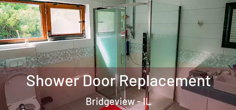Shower Door Replacement Bridgeview - IL